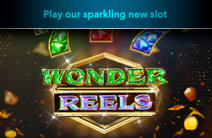 wonder reels